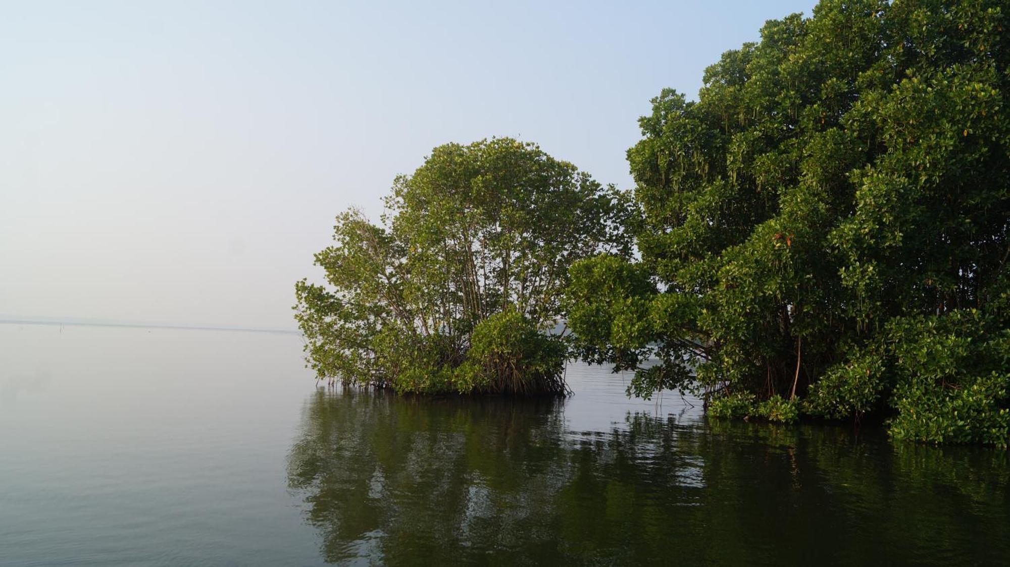 Blue Lake Villa Kollam Extérieur photo